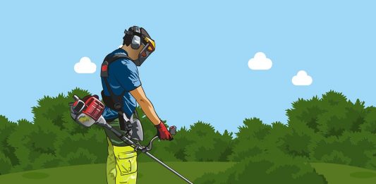 בלי עקיצות ובלי גירודים: פתרונות ההדברה היעילים ביותר